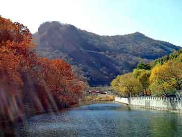 上海屋顶绿化，塑木椅条